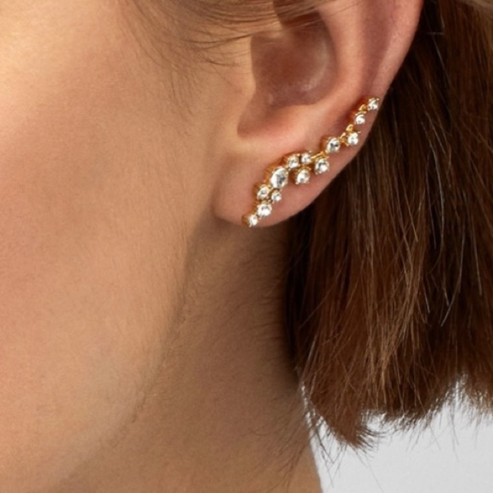 Crystal ear climbers